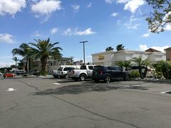 -In-N-Out Burger(LAX)