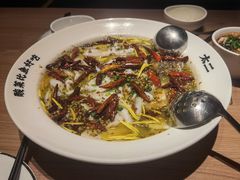 老坛子酸菜鱼-太二酸菜鱼(赛格国际店)