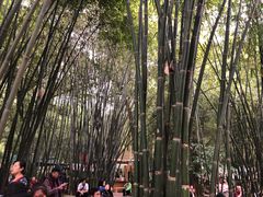 -英西峰林·洞天仙境
