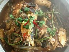 -庆岭迎宾园正宗活鱼馆