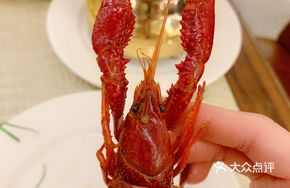 Mixed Seafood