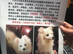 -瑞派长江宠物医院·猫科·外科·24小时夜护(谊城公寓分院)