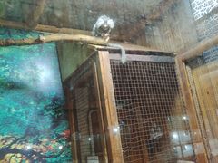 -上海大自然野生昆虫馆(东方明珠·爬宠昆虫探索中心)