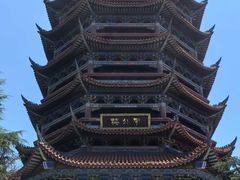 -铁山坪森林公园