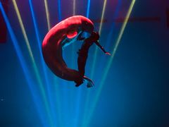 -芜湖新华联大白鲸海洋公园