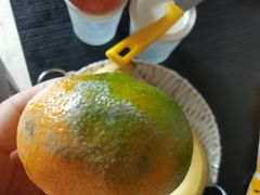 -天目湖涵田半山温泉