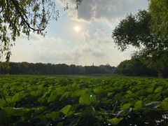 -长春市南湖公园