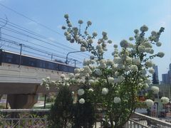 -花·fleur古董西餐厅(西城夜未央店)