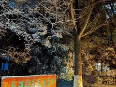 -天目湖御水温泉·度假酒店