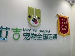 -艾吉宠物医院·疑难杂症转诊中心·猫友好(碧江路院)