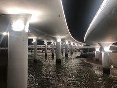 -演武大桥观景平台