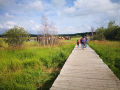 -塞罕坝国家级自然保护区