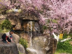 -白鹭湾湿地公园