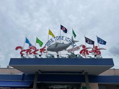 -南纪白浜Toretore市场