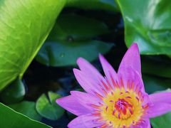 -三亚海棠湾万丽度假酒店