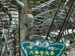 -呀诺达热带雨林
