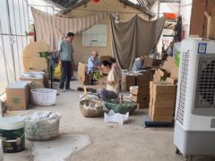 -马陆小张葡萄园农家乐