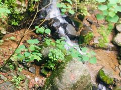 -藏龙百瀑风景区