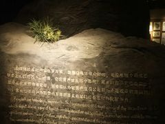 -宁夏博物馆