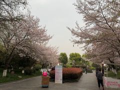 -堤角公园