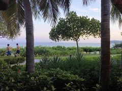-渔家火锅·海鲜自助餐·演艺(亚龙湾天域酒店)