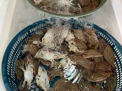 -芦潮港集贸市场