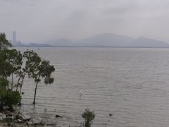 -福田红树林生态公园