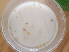 杏仁豆腐-牛姥姥牛奶酪