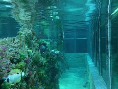 奥威斯酒店-肇庆奥威斯酒店