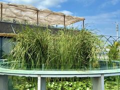 -火福·天湖阁大闸蟹博物馆主题餐厅(浅水湾店)