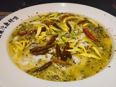 老坛子酸菜鱼-太二酸菜鱼(青岛未来城万科广场店)