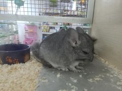 -三旗百汇商品城