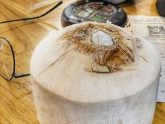 -超级物种·波龙工坊(国贸店)