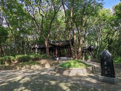 -上海佘山国家森林公园天马山园