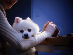 -零几体验diy皮具工作室(振业城店)