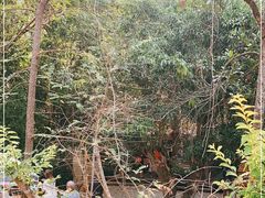 -Bamboo Saturday Market(Nana Jungle)