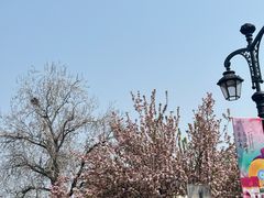 -天津五大道文化旅游区