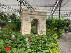 -南宫五洲植物乐园