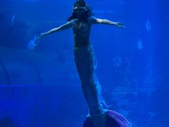 -太平洋海底世界