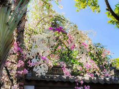 -深圳国际园林花卉博览园