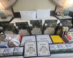 -保丽宝泰母婴护理院·月子中心·产康·中医(常州店)