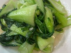 炒上海青-杨南饭店·二十五年闽菜馆(凤湖新城一店)