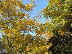 -昆山城市生态森林公园