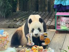 -大连森林动物园