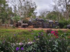 -海南热带野生动植物园