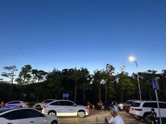 -西涌国际滨海旅游区