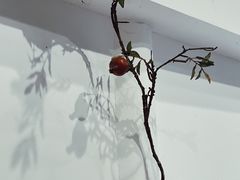 -阿木舂记·特色小吃(平江路店)
