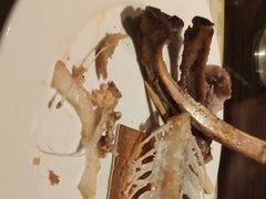 -上海东方佘山翰悦阁酒店·Vie全日制餐厅