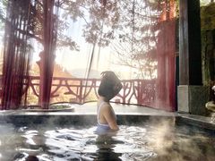 -宜春明月山维景国际温泉度假酒店