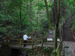 -仙霞关景区